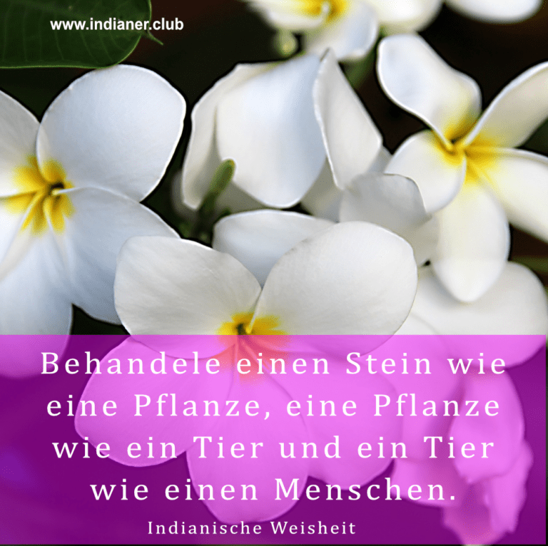 Hintergrundbild mit Orchideenblüten und indianischer Weisheit