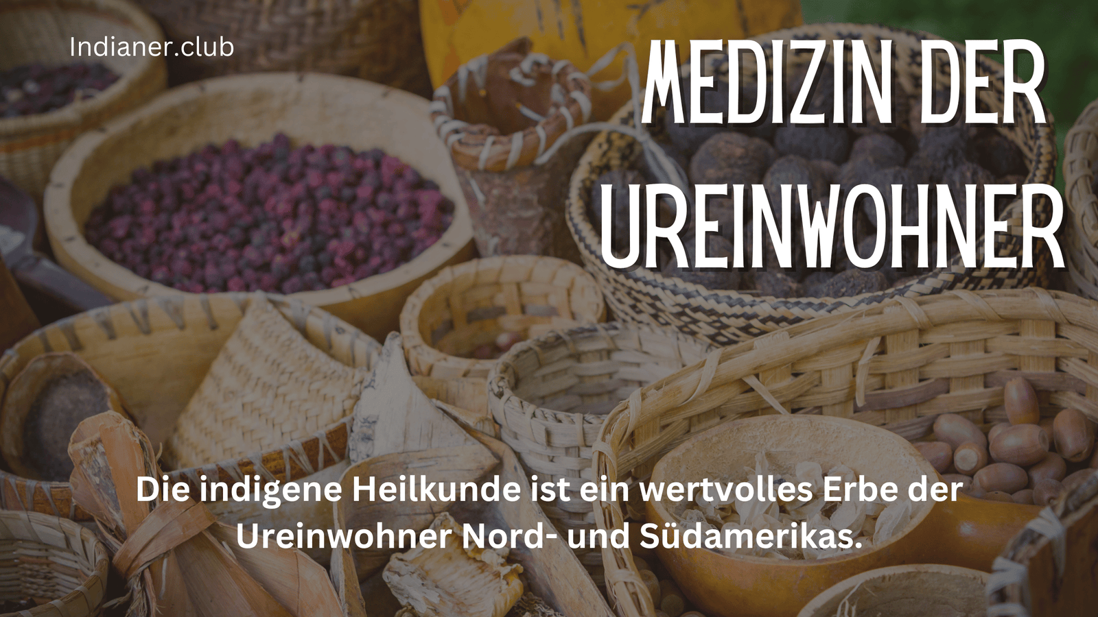 Medizin _20250217_171628_0000