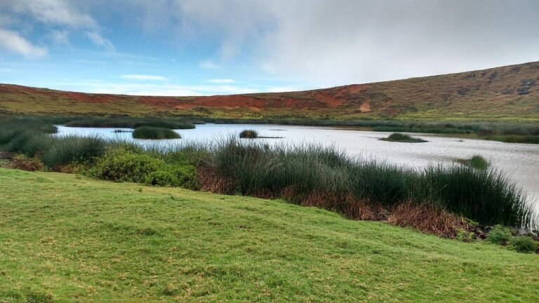 Indigenous Culture: 🌄 Ureinwohner der Philippinen: Stammesgruppen der Cordillera und ihr Kampf gegen Staudämme