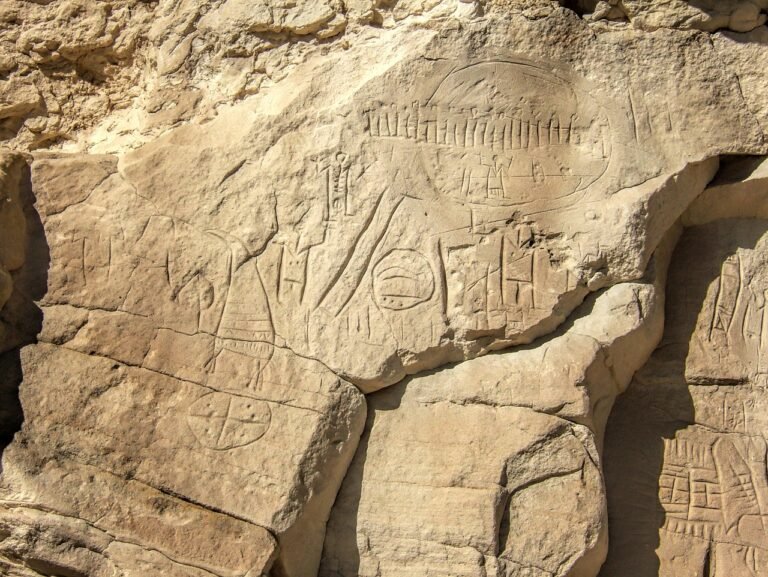 Native American: 🌿 Vergessenes Pflanzenwissen: 7 Heilpflanzen indigener Völker, die die moderne Medizin beeinflussten