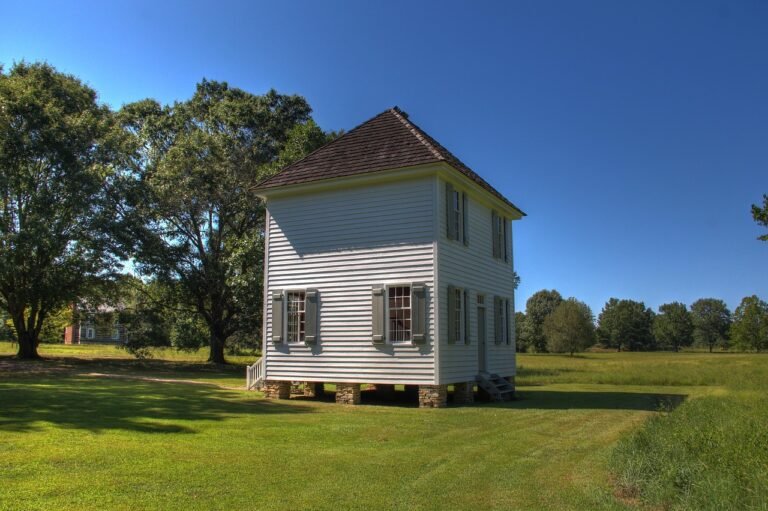 Native American: ✍️ Entwicklung indigener Schriftsprachen