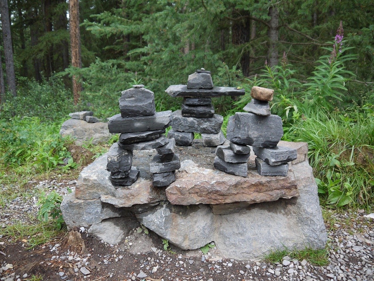 Native American: 🐻 Krafttier Bär – Stärke, Heilung & Schamanismus